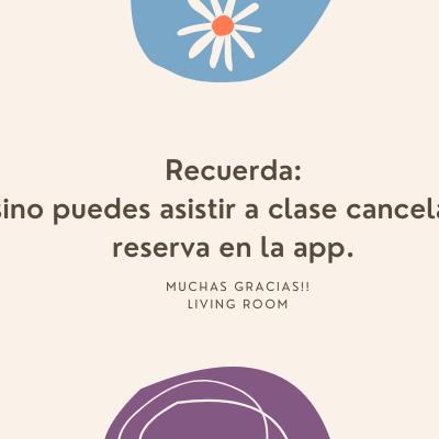 IMPORTANTE 